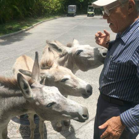 Oriel Smith and a few of our donkeys