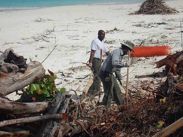 Crews cleaned up a ton of debris - Photo credit: Virgin Islands National Park 