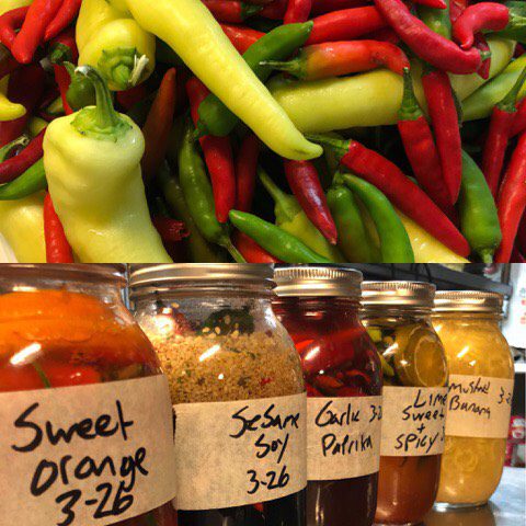 Thai chilis and hot sauces - Image credit: Ryan Costanzo