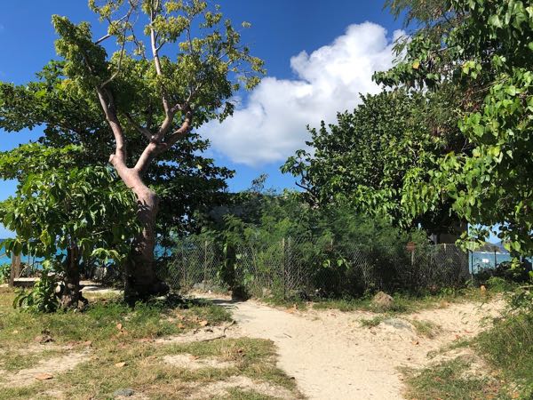 Cinnamon Bay Campground: What It Looks Like Now 16