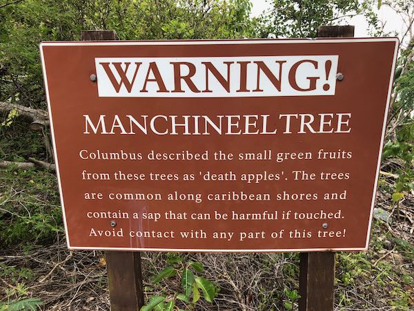 closeup of warning sign for manchineel tree