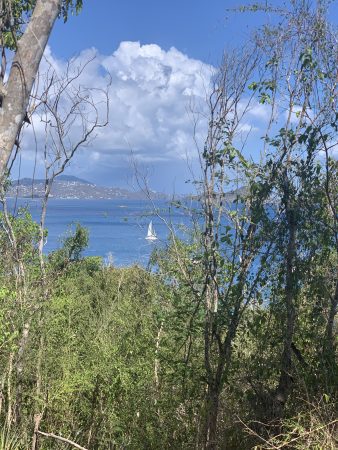 Lind Point Trail: A Great Family Hike 7