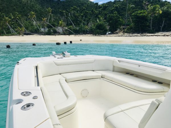 Who's in the Water?- Off Season Boat Charters on St. John 3