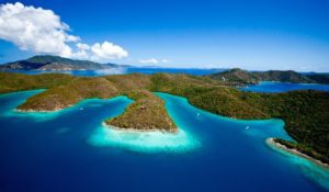 Business Spotlight: Island Roots Charters 10