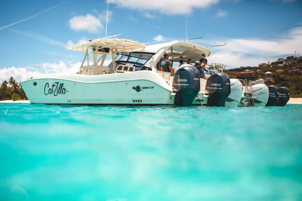 Business Spotlight: Arrive in Style With Love City Excursions' Water Taxi 6