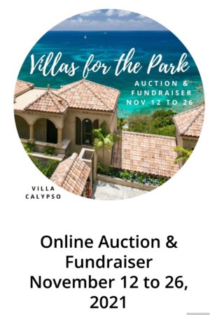 Living In Luxury- The 5th Annual "Villas for the Park" Auction 1