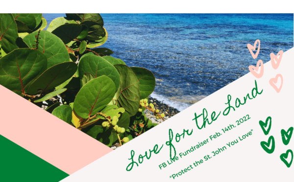 Love for the Land: Enter to Win an All-Inclusive Trip to St. John 10