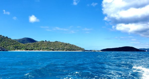 Take a Boat Ride in the USVI: Views From the North Shore 8