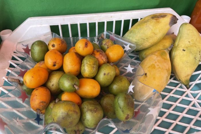 Delicious and Juicy: Local Fruits of St. John and Where to Find Them! 5