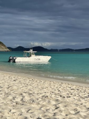 Business Spotlight: Love City Excursions is BACK in the BVI!!!! 14