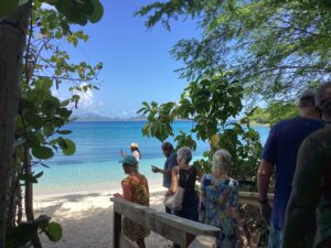 Caneel Bay Beach Opens as VINP Continues Phased Redevelopment 1