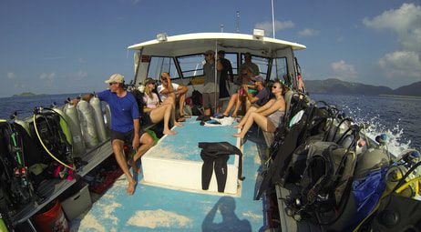 Invasive Lionfish Threaten USVI Coral Reefs 4