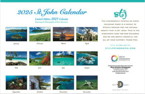 Experience St. John’s Magic All Year with Steve Simonsen’s 2025 Calendar 3