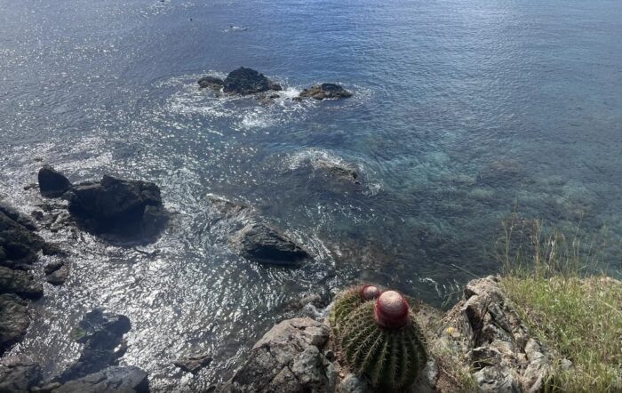 Exploring St. John's Yawzi Point 2