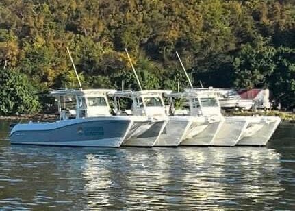 Sunshine Daydream Boat Charters Now on the Market 4