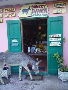Donkey Diner