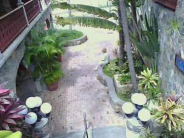 Mongoose Junction webcam