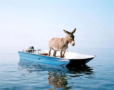 dinghy donkey