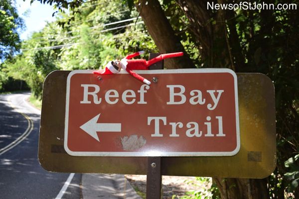 elf reef bay-imp