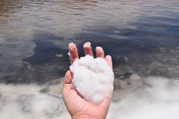 salt pond salt hand