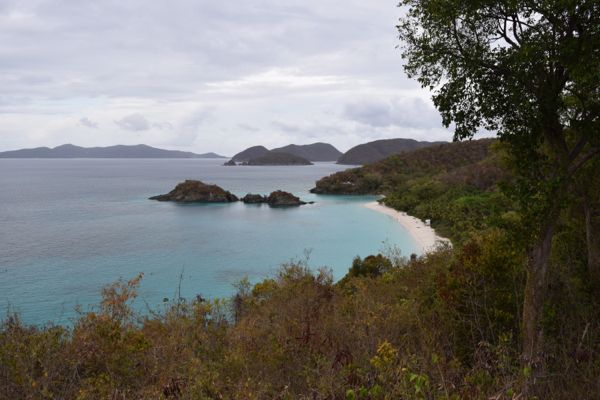 drought trunk bay