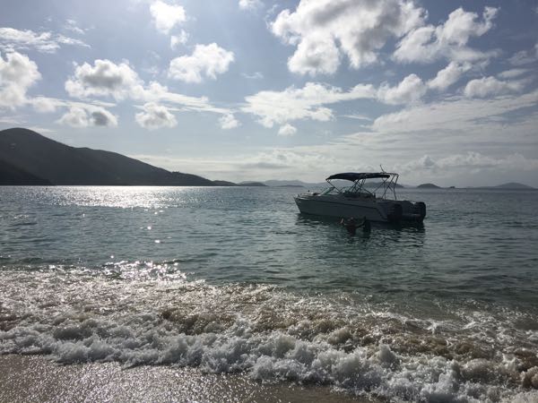 Who's in the Water?- Off Season Boat Charters on St. John 2