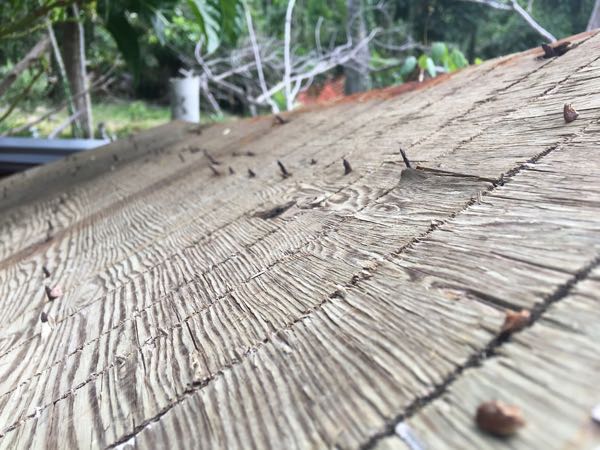 Protruding Nails Cinnamon Bay Sept 2018