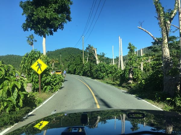 Lost of visible tree damages as you drive to Maho
