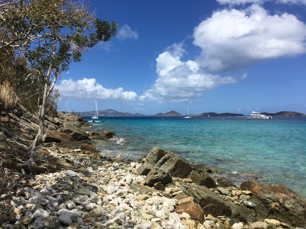 COVID-19 Update-  Numbers in the USVI and Current Regulations