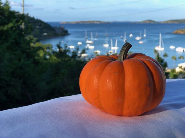 Halloween on St. John: This Year's Events 1