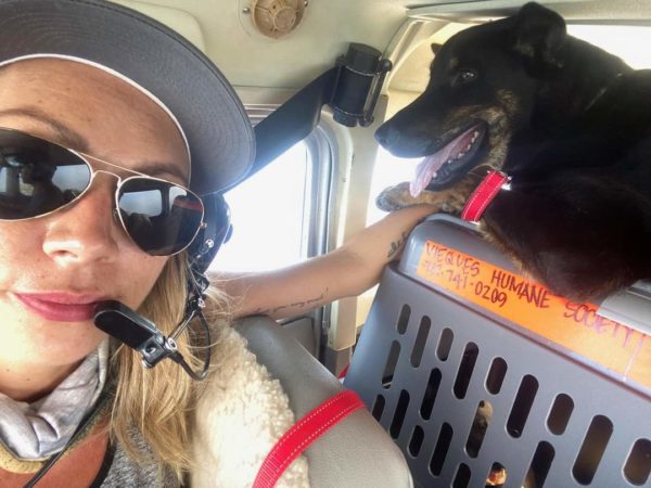 Follow Up- Animal Rescue Flights a Success! 3