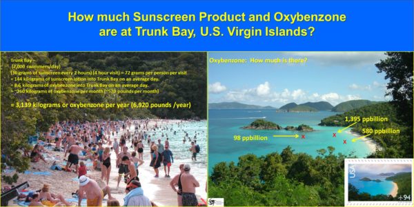 USVI Makes History with First Sunscreen Ban in the US 2