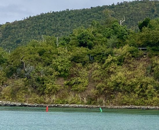 Boater Safety 101- How to Safely Explore the USVI Waters 6