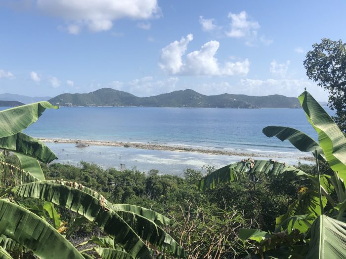 Caribbean views