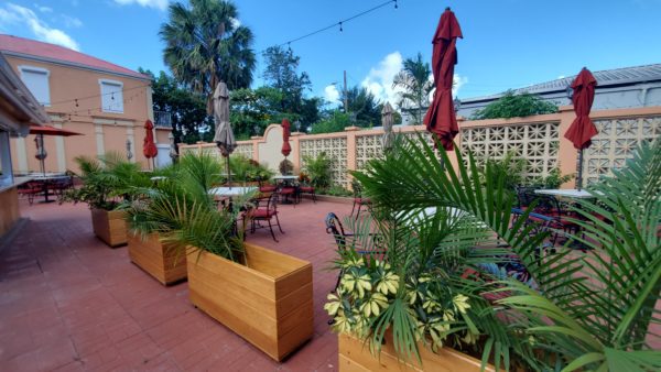 Shaibu's Garden Oasis Opens in Cruz Bay! 11