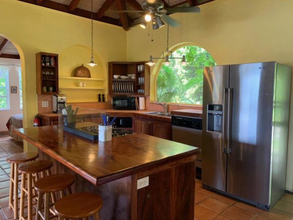 Real Estate Spotlight: Find Your Paradise at Little Palm Villa 8