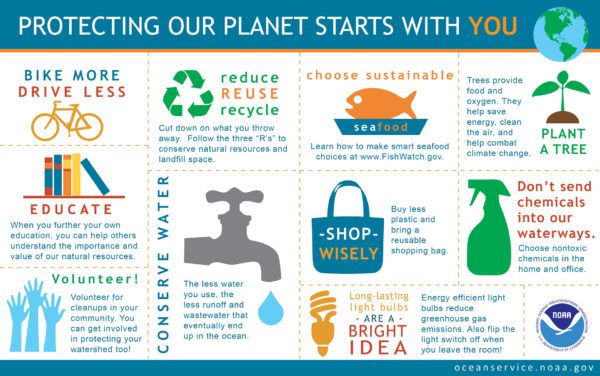 Earth Day 2021 - Things You Can Do to Help Preserve Our Paradise 11