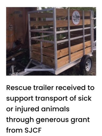 Call to Action - Our Donkey Friends Need your Help! 3