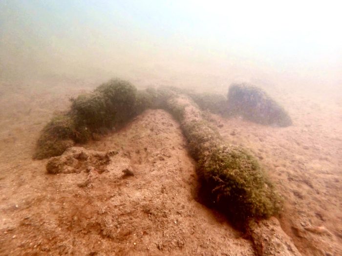 History Unfolds in Coral Bay:  A Shipwreck Sheds Light on the Past