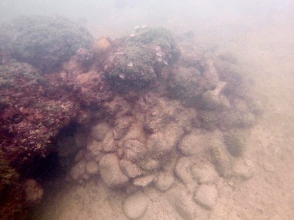 History Unfolds in Coral Bay: A Shipwreck Sheds Light on the Past 2
