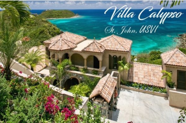 Living In Luxury- The 5th Annual "Villas for the Park" Auction 5
