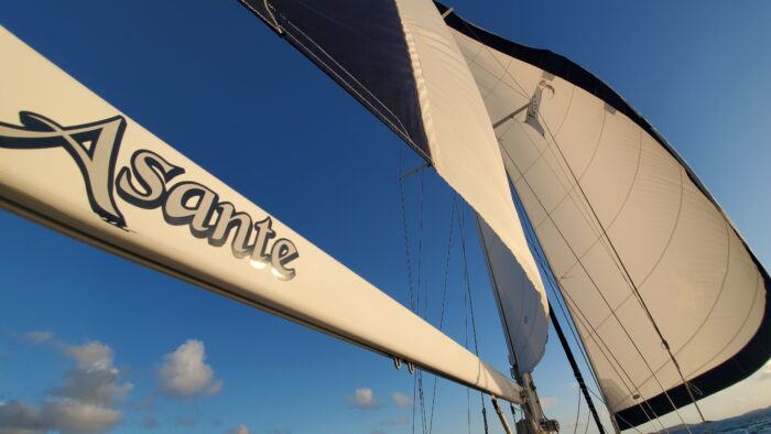 Business Spotlight:  Sail into the Season on Asante!