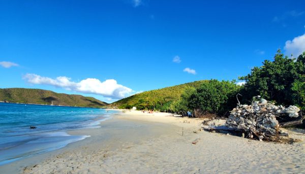 Cinnamon Bay Beach and Campground is NOW OPEN! 3