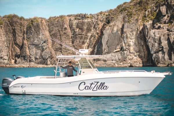 Business Spotlight: Adventure the Day Away With Catzilla 6
