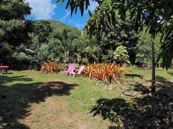 Real Estate Spotlight: Gardener's Oasis in Coral Bay 7