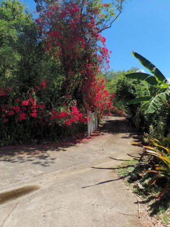 Real Estate Spotlight: Gardener's Oasis in Coral Bay 10
