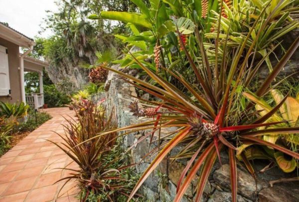 Real Estate Spotlight: Cinnamon Stones Villa Will Take Your Breath Away 14