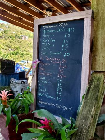Take a Walk Through Josephine's Coral Bay Organic Gardens 1