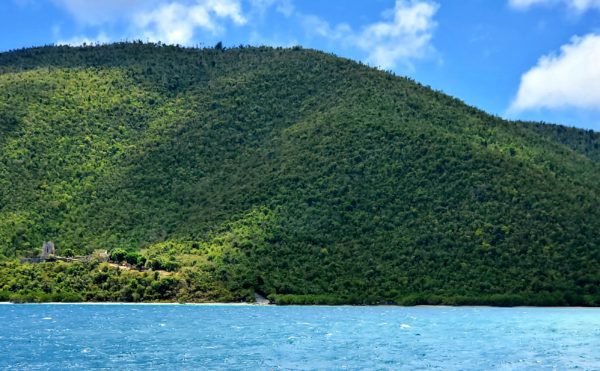Take a Boat Ride in the USVI: Views From the North Shore 7