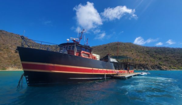 Business Spotlight: Love City Excursions is BACK in the BVI!!!! 12